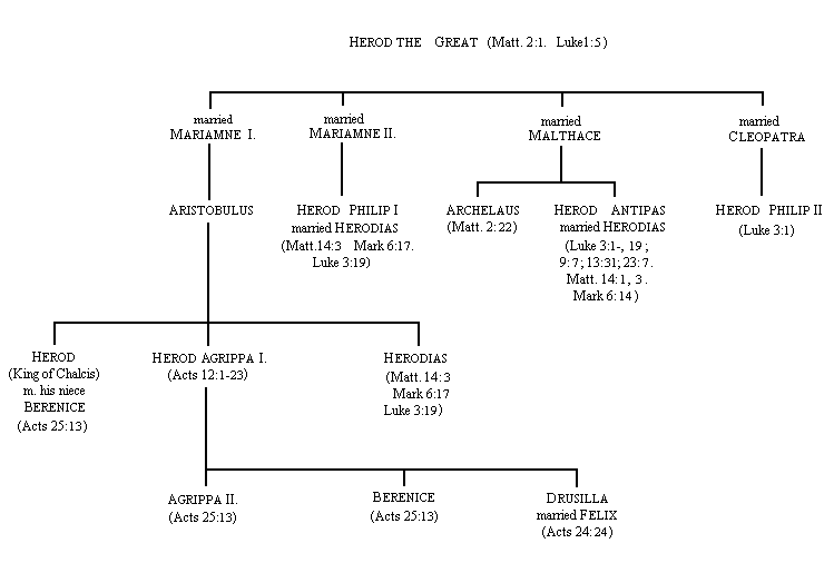 Genealogy of Herods. 6.10kb 749x506