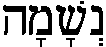 Breath In Hebrew 1.2KB