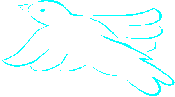 DOVE