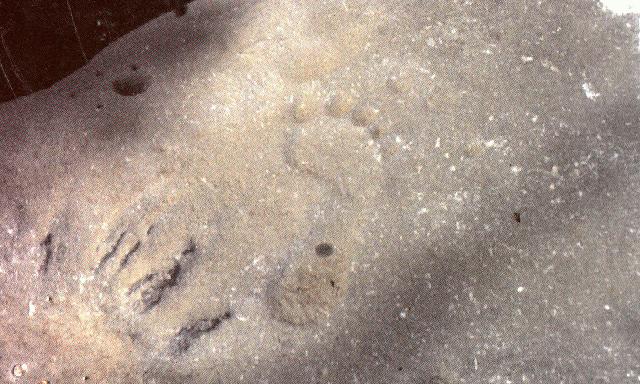 Footprint In A Rock